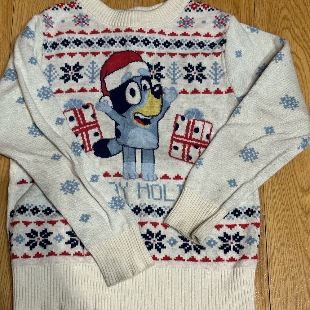 Festive Holiday Sweater Bluey toddler size 3 for boy or girl unisex